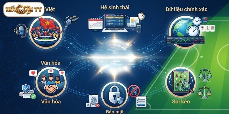 Cam kết của website dành cho người hâm mộ