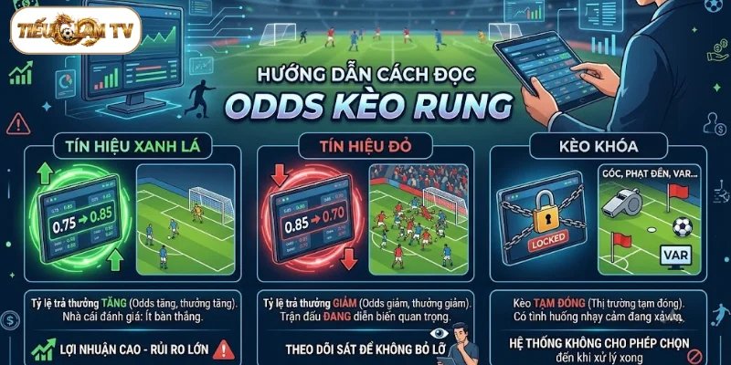 Hướng dẫn cách đọc Odds kèo rung