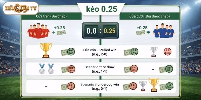 Kèo 0.25 là gì? Đây là tỷ lệ chấp đồng banh nửa trái