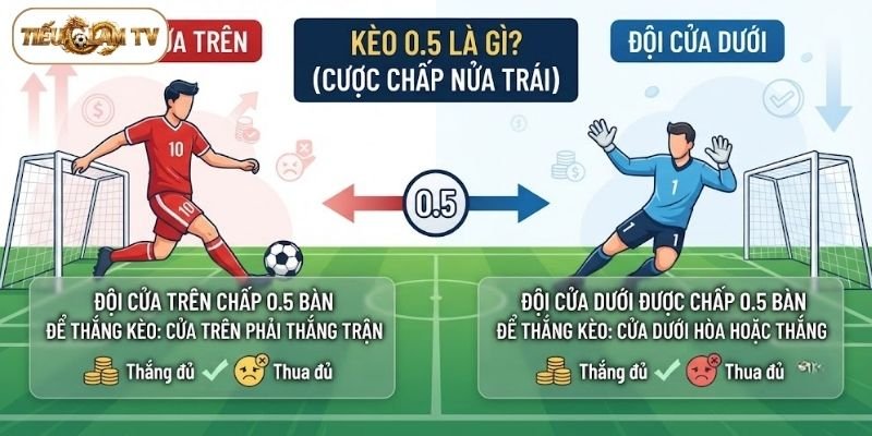 Kèo 0.5 là gì? Đây là tỷ lệ chấp nửa trái