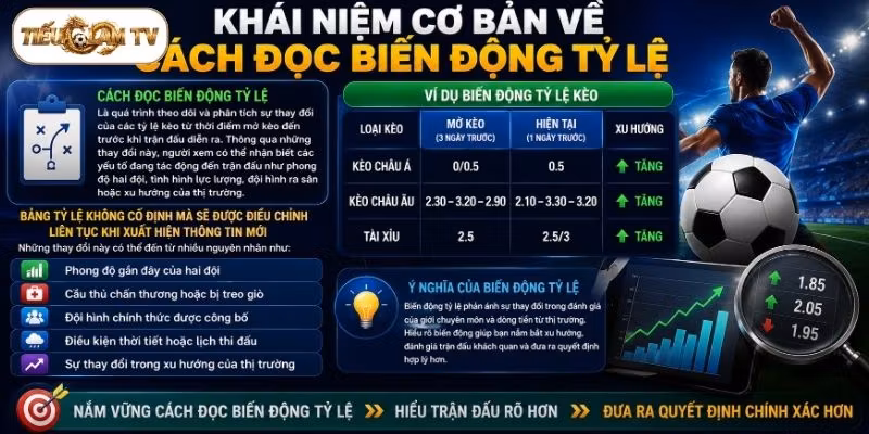 Khái niệm cơ bản về cách đọc biến động tỷ lệ