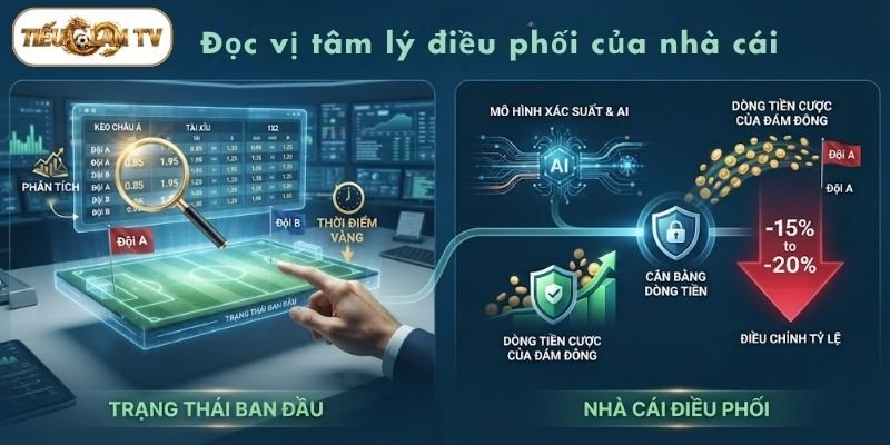 Kinh nghiệm đọc kèo thông qua việc đọc vị tâm lý điều phối của nhà cái