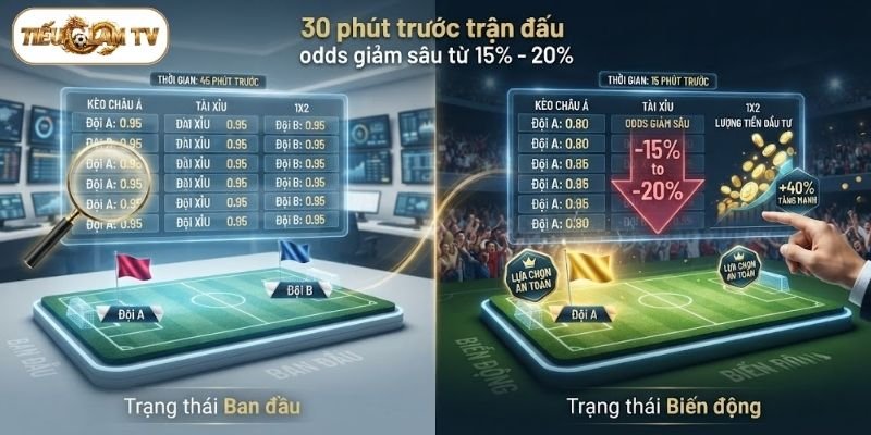 Quan sát biến động tỷ lệ cược