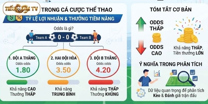 Tìm hiểu thông tin về Odds là gì