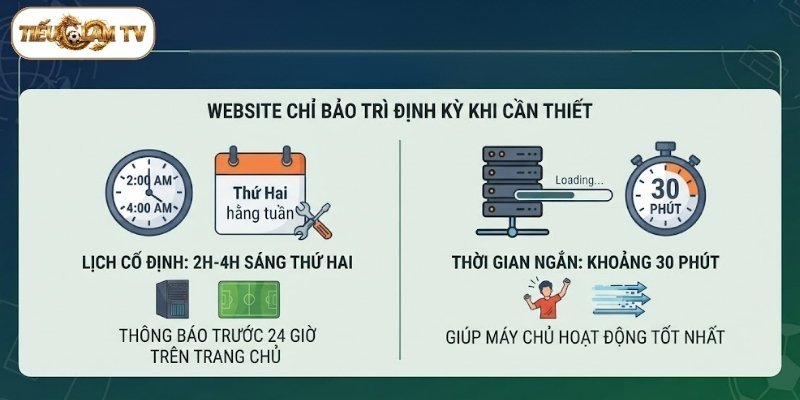 Website chỉ bảo trì định kỳ khi cần thiết